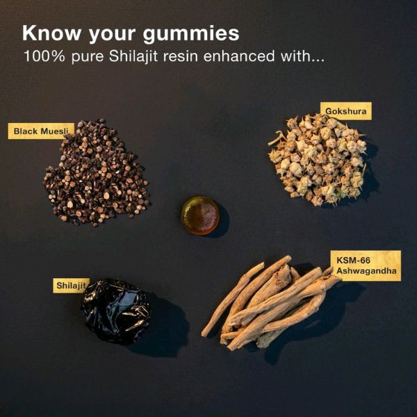 De Bodywise Pure Himalayan Shilajit Gummies | With Ashwagandha, Gokshura & other